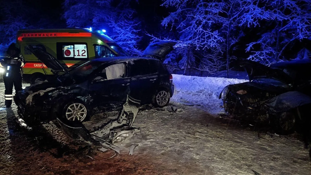 Подмосковные спасатели помогли мужчине, пострадавшему в автомобильной аварии
