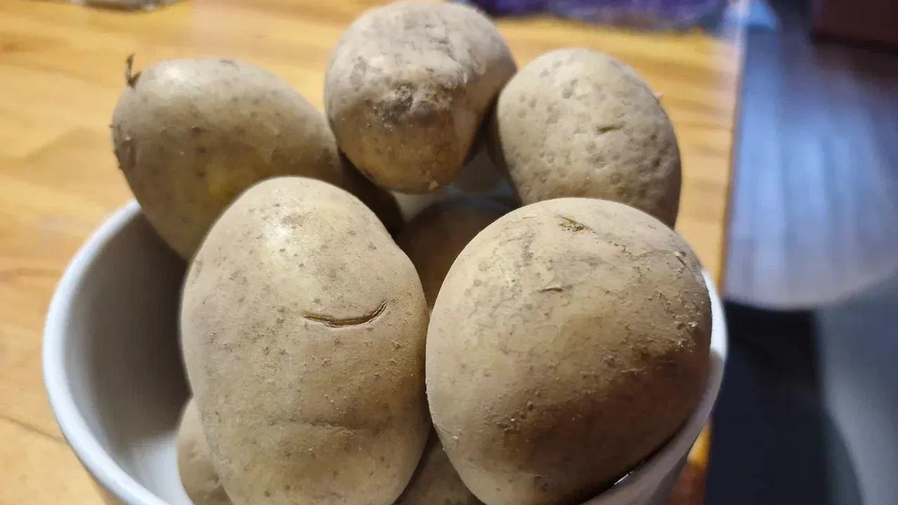 REGIONS/Наталья Надточая