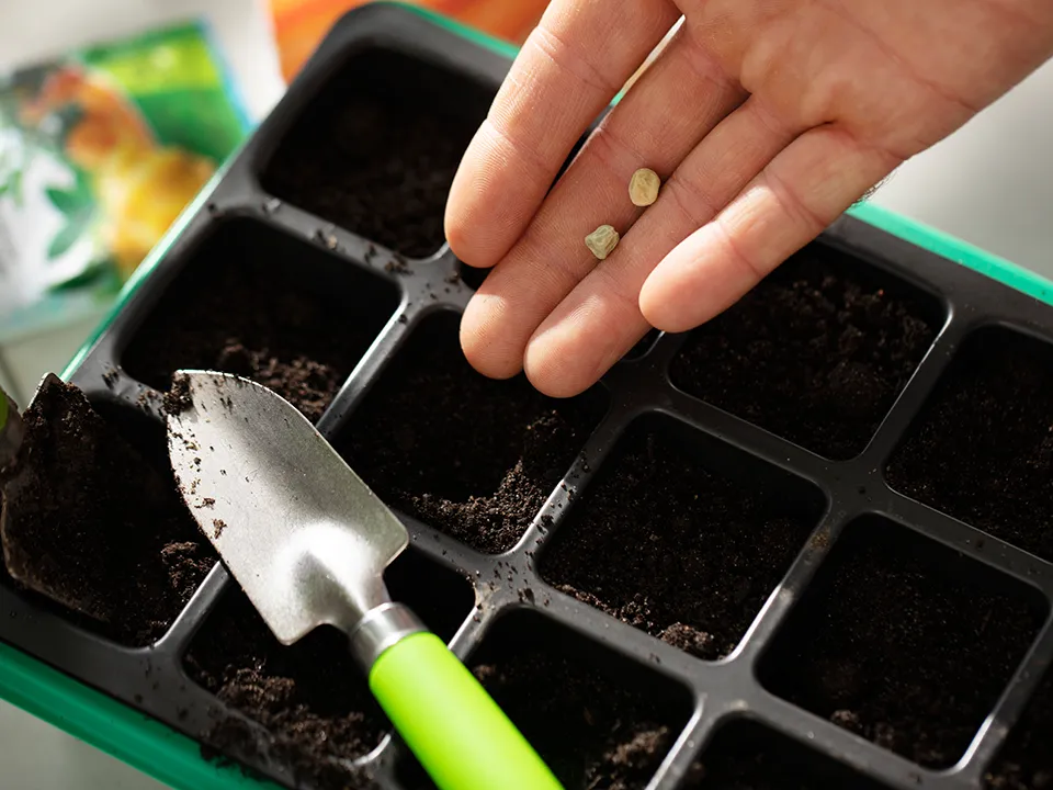 Фото: freepik.com