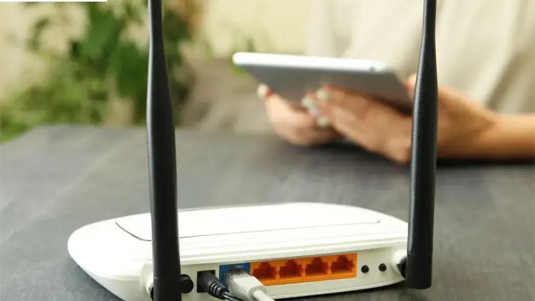 istockphoto.com/Liliia Bila