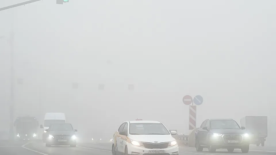 Фото: медиасток.рф