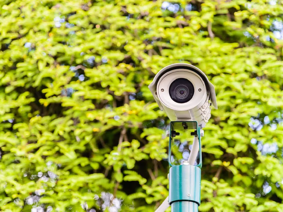 Фото: freepik.com&nbsp;