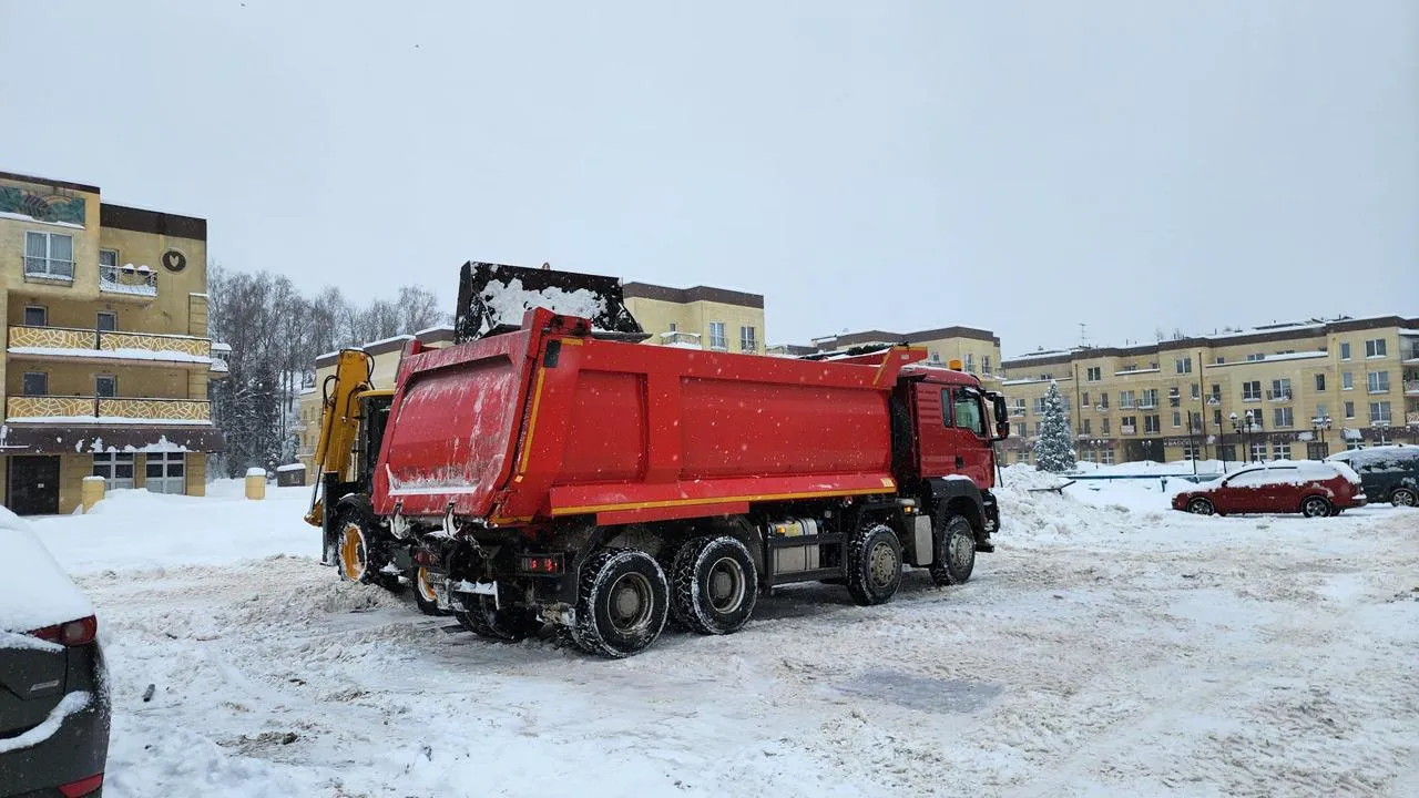 МедиаБанк Подмосковья/Екатерина Данилина