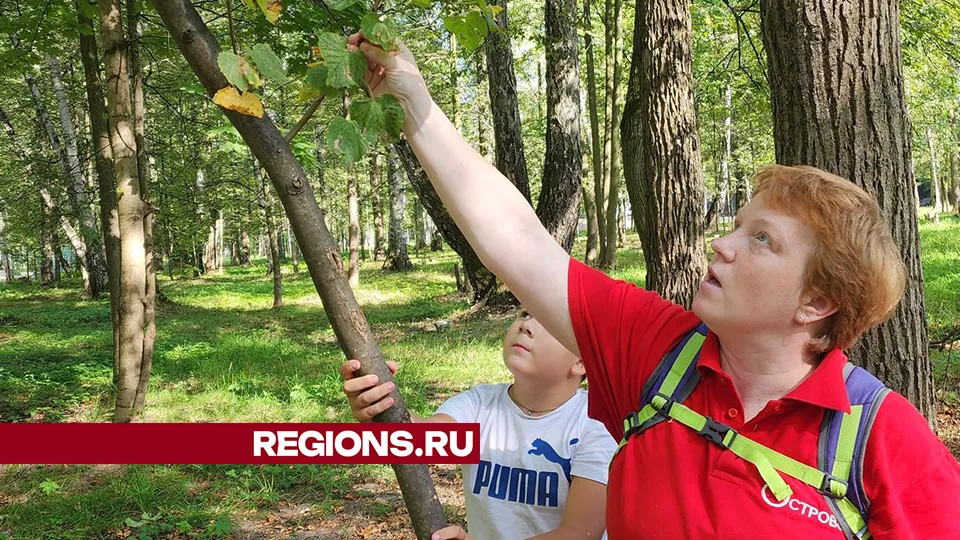 Фото: Андрей Семибратов