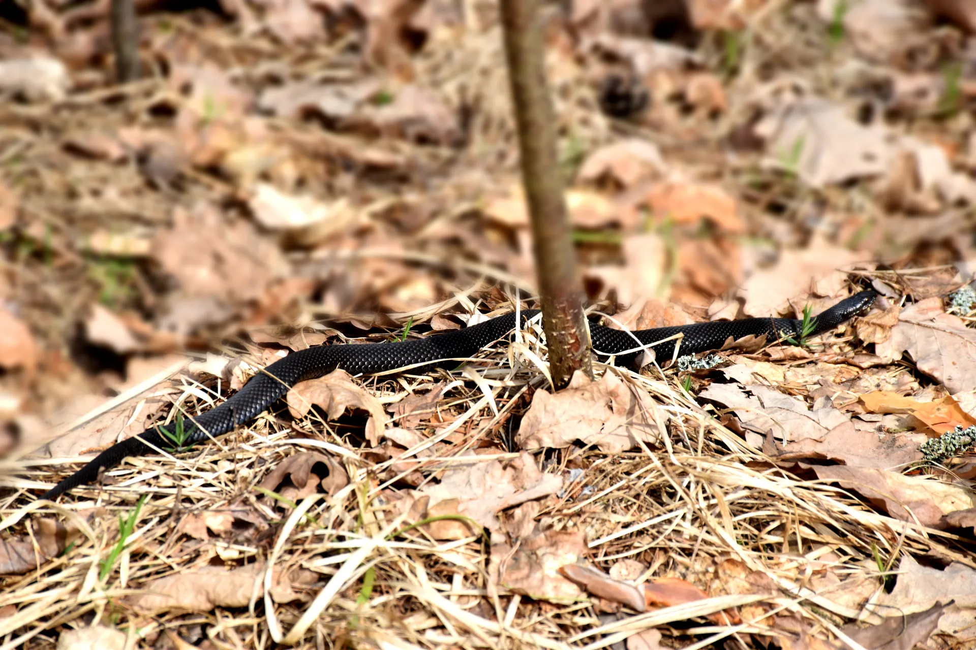 Фото: REGIONS/Оксана Лапшина