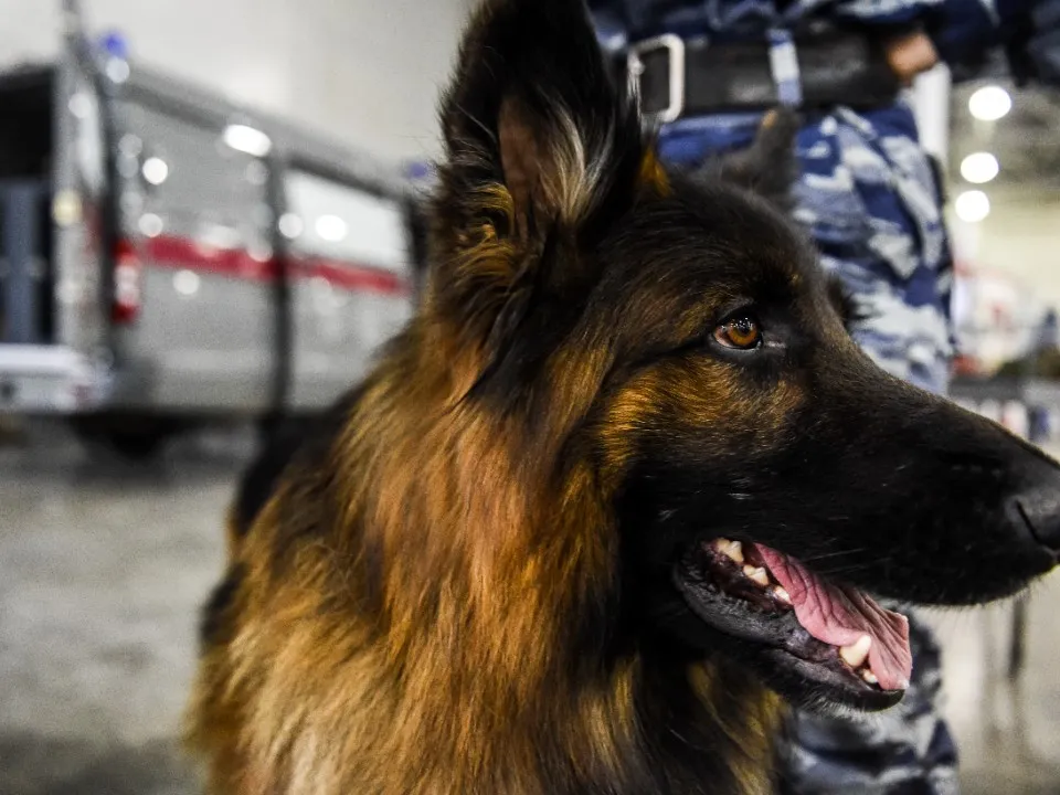 Фото: медиасток.рф