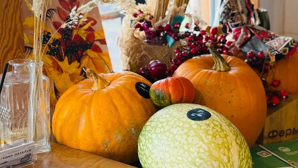 Фото: МедиаБанк Подмосковья/Ольга Стаферова