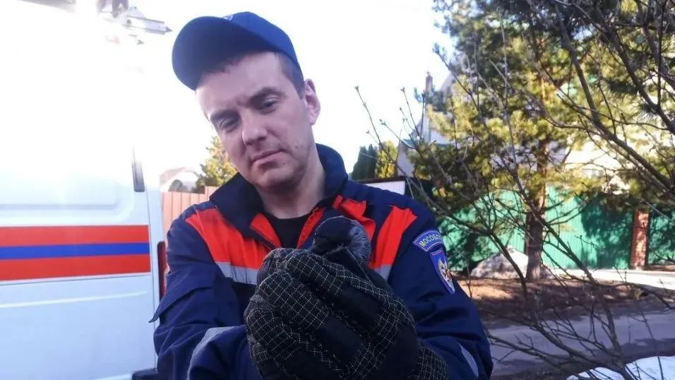 ГКУ МО «Мособлпожспас»