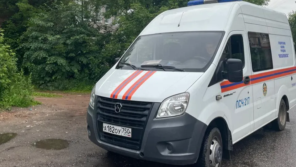 Фото: ГКУ МО «Мособлпожспас»