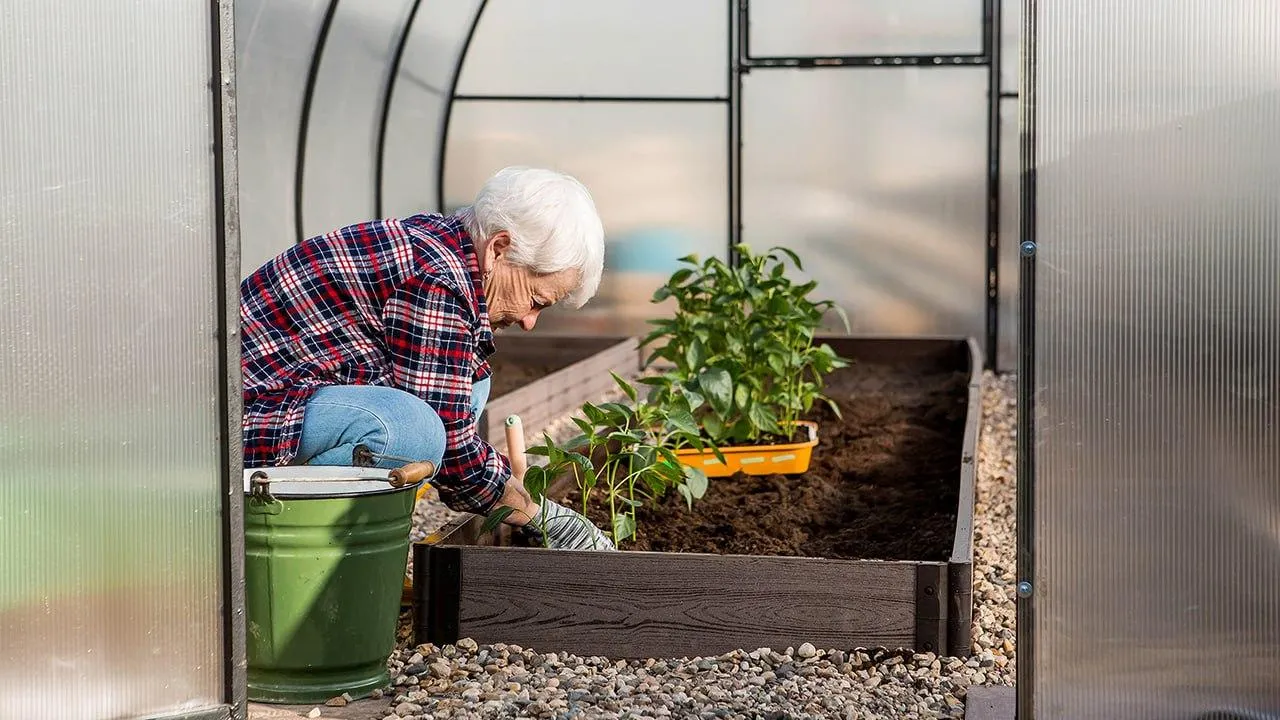 istockphoto.com/Julia Klueva