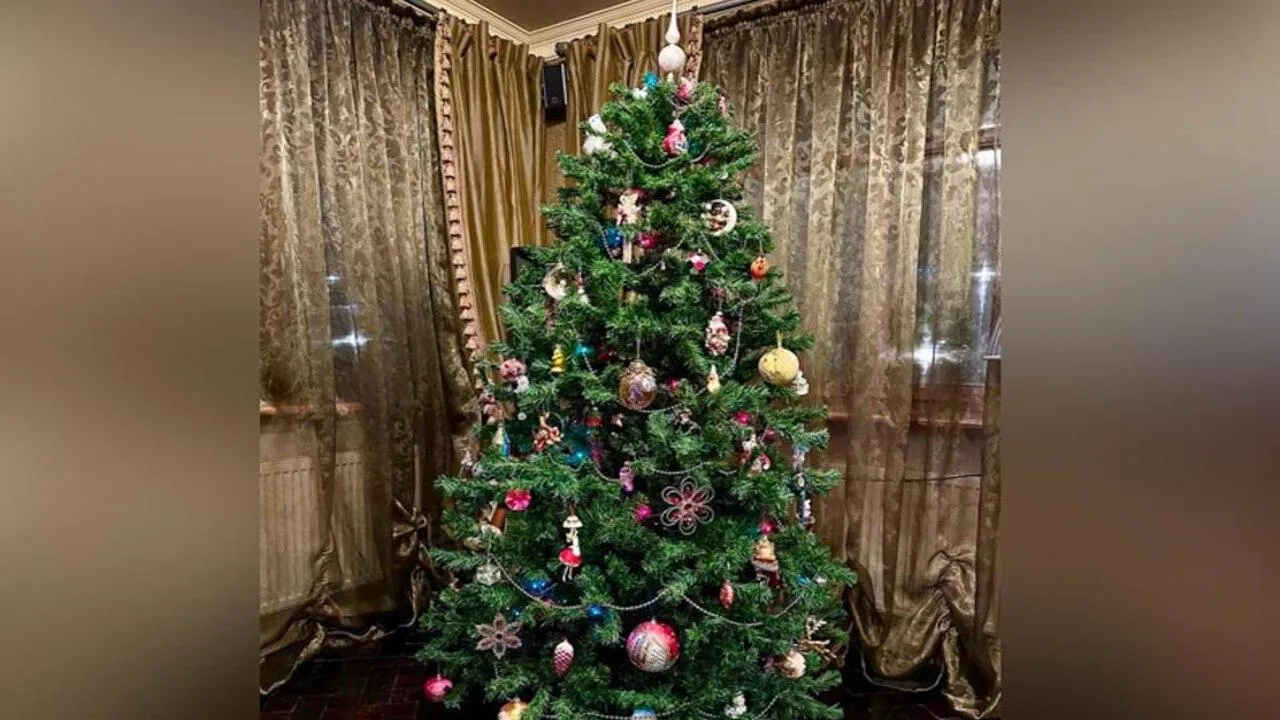 Магия игрушек из СССР: читательница REGIONS выиграла iPhone 17 на «елочном» фотоконкурсе