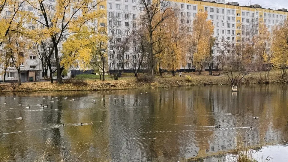 Фото: Министерство благоустройства Московской области