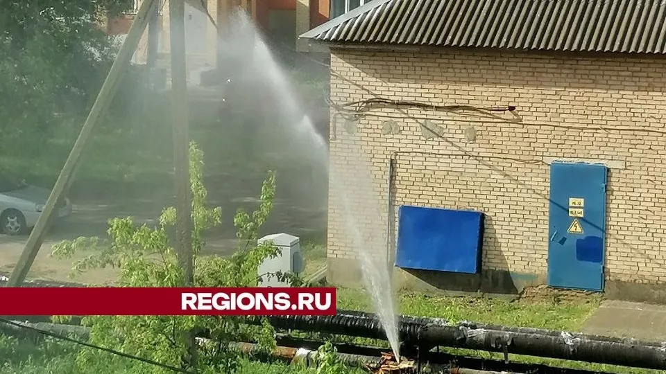 Фото: vk.com/«Луховинь» газета Луховицы