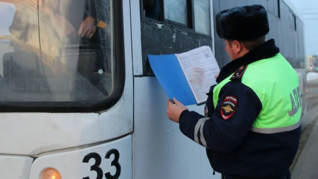 Фото: пресс-служба Госавтоинспекции по Московской области