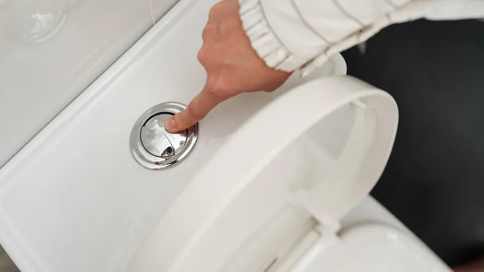 Фото: istockphoto.com/geargodz