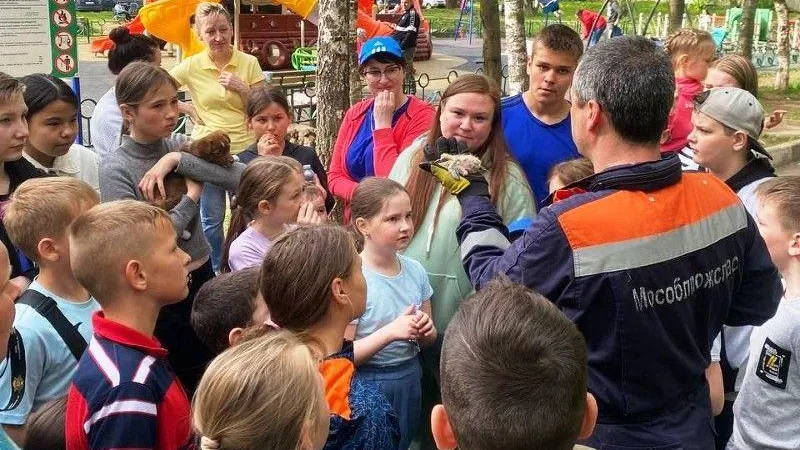 В Солнечногорске спасатели освободили двух горлиц, запутавшихся в нитках
