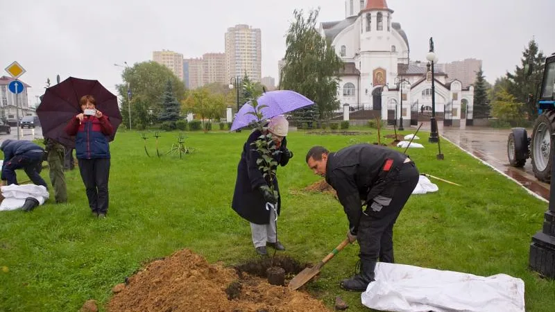 Городской парк Реутова украсили яблоневым садом