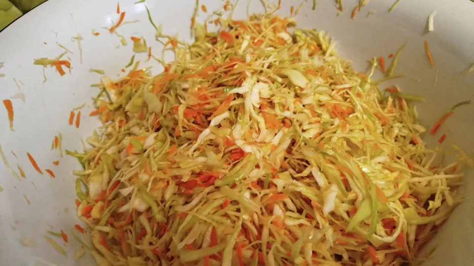 Фото: REGIONS/Юлия Куделькина