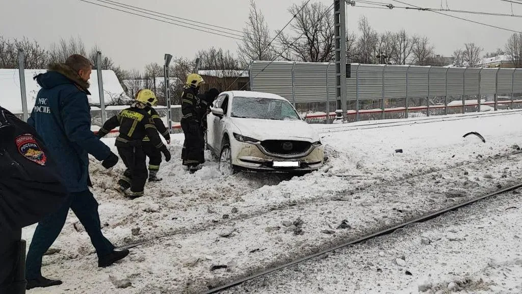 Фото: пресс-служба ГУ МВД России по Московской области