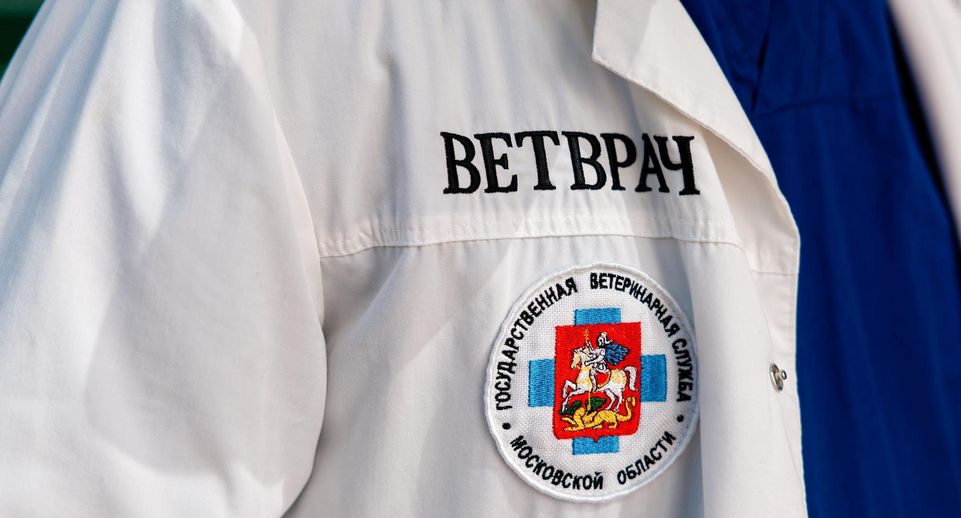 Ветеринарный кол-центр Подмосковья принял почти 1,7 тысячи звонков в сентябре