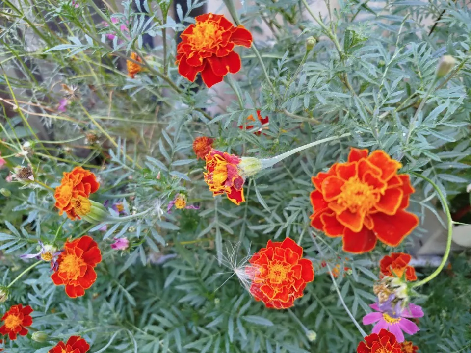 Фото: REGIONS/Юлия Куделькина