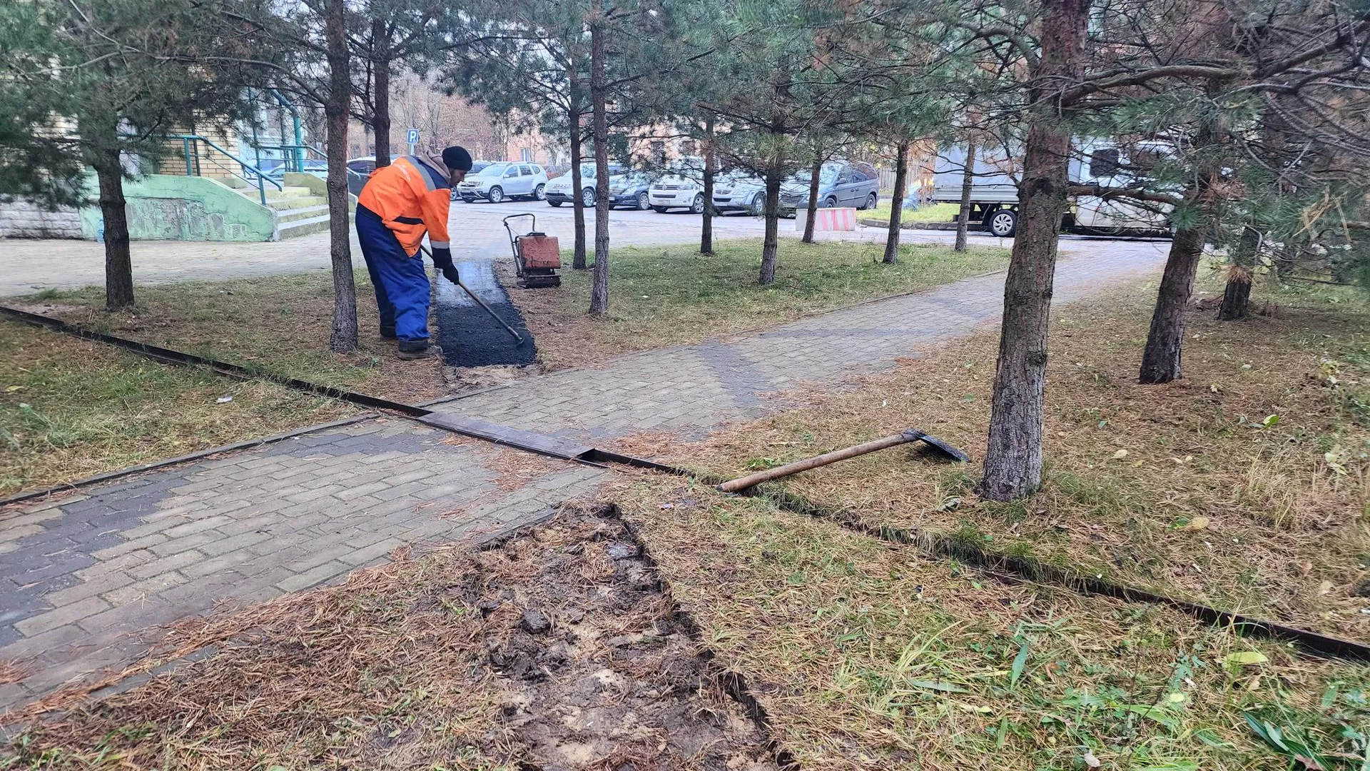 МедиаБанк Подмосковья/Наталья Дорошева