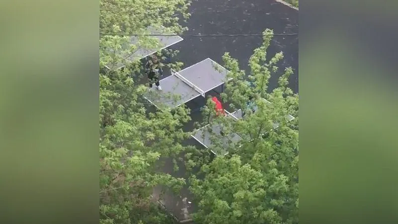 На юных хулиганов, бегающих по теннисным столам, пожаловался житель Видного