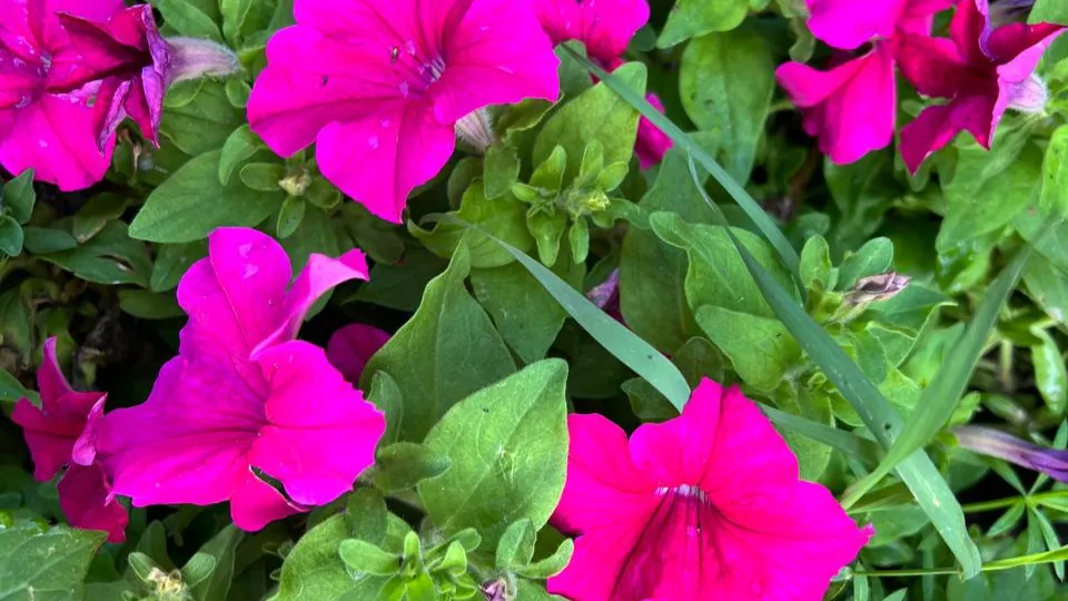 Фото: REGIONS/Елена Фурман