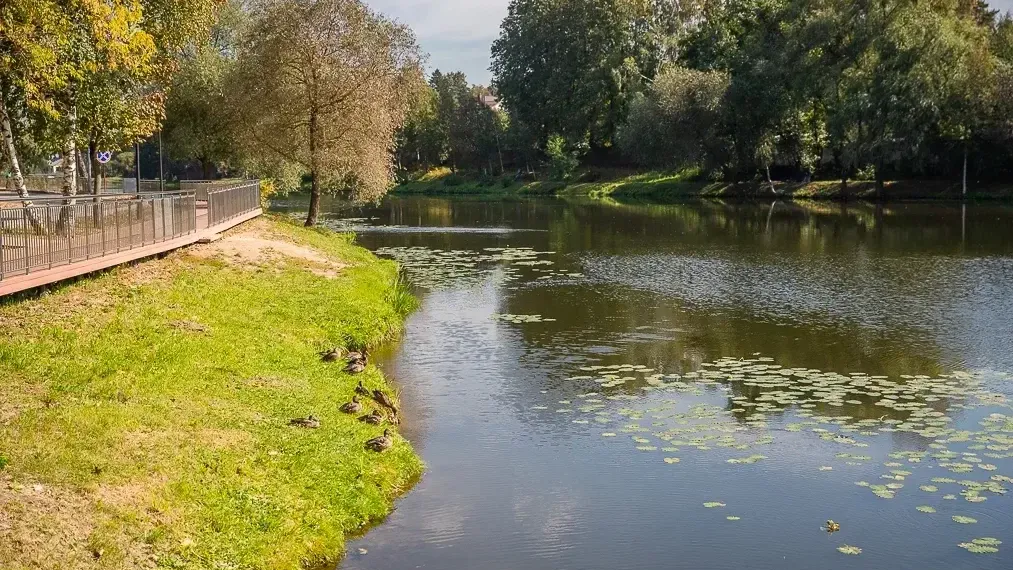 Министерство информационных и социальных коммуникаций Подмосковья