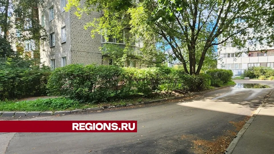 Фото: Юлия Смагринская