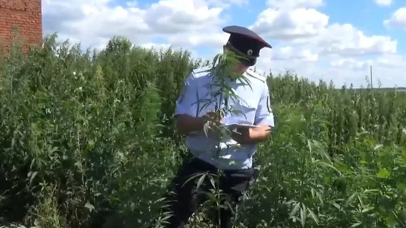 ГУ МВД по МО