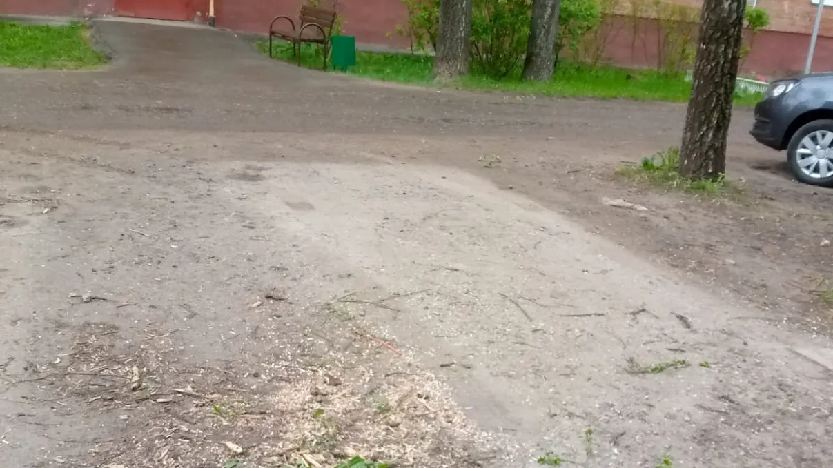 Фото: пресс-служба администрации Наро-Фоминского г.о.