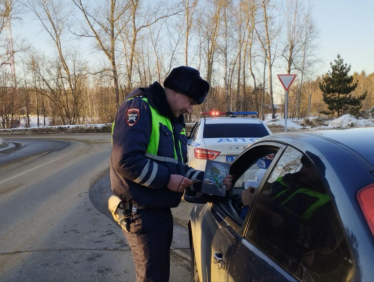 Фото: ОМВД России по Рузскому городскому округу