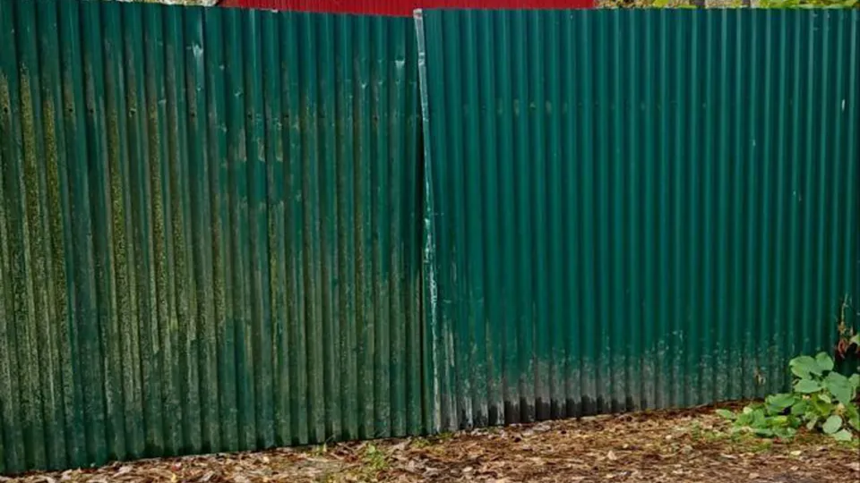 Фото: администрация г.о. Пушкинский