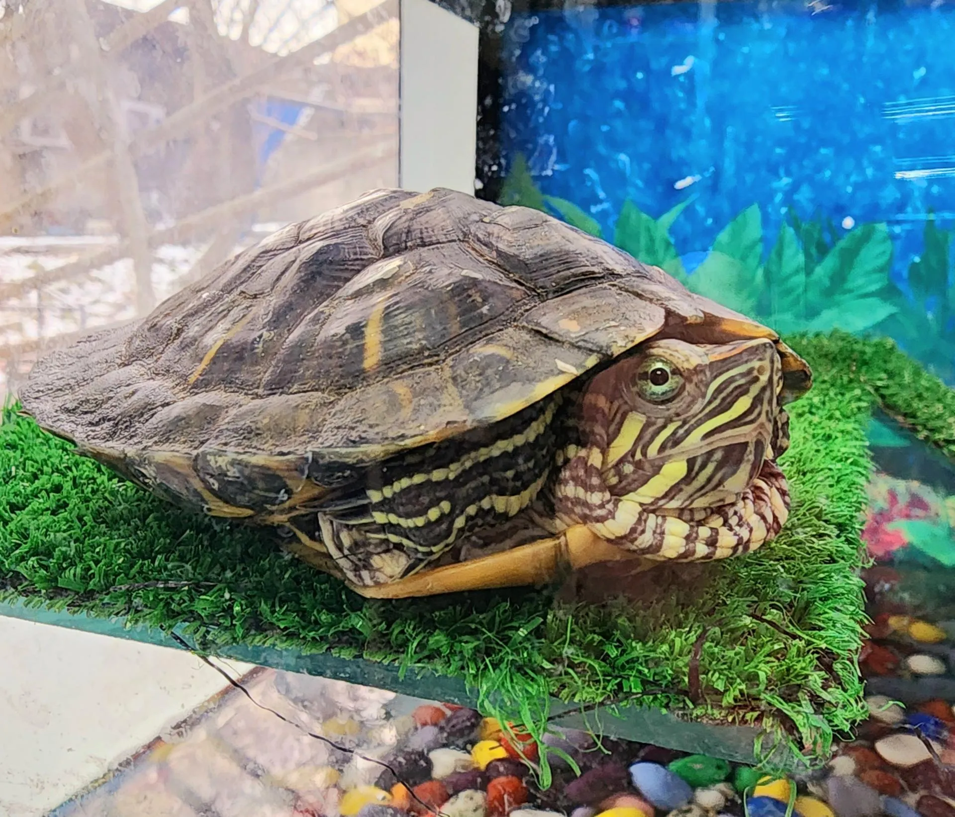 Дети кормили животных. Фото: Анастасия Сараева