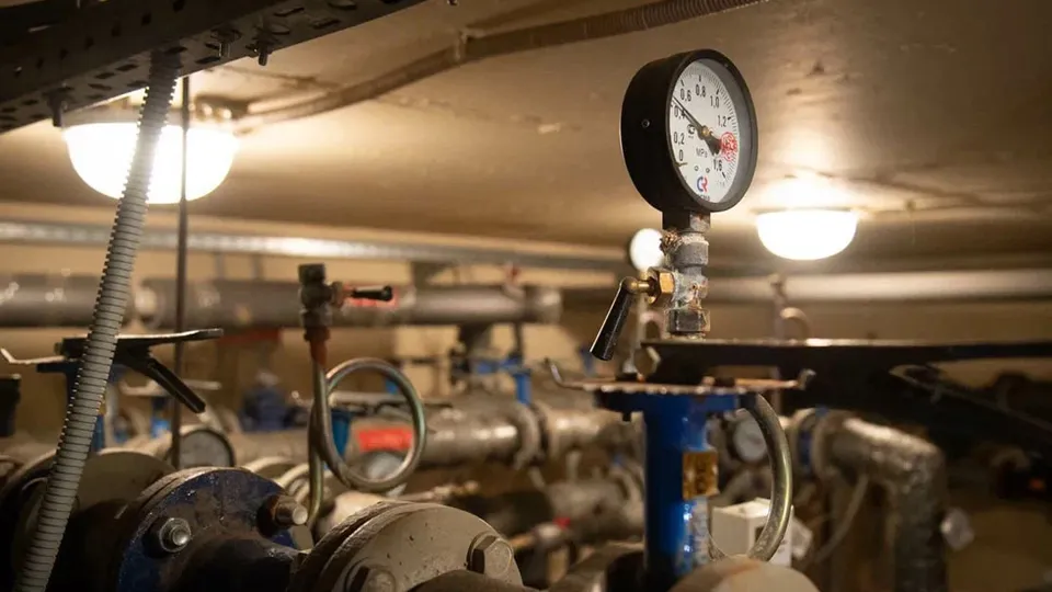 Фото: REGIONS/Нина Соколова