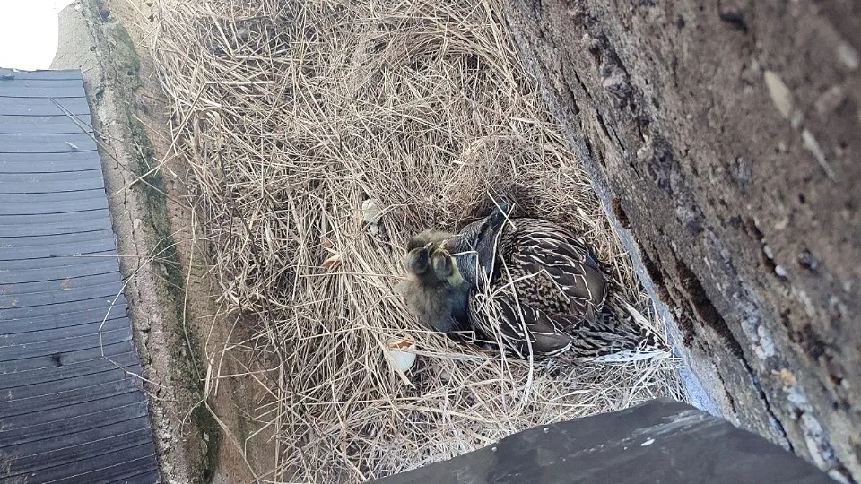 Фото: Мария Панина