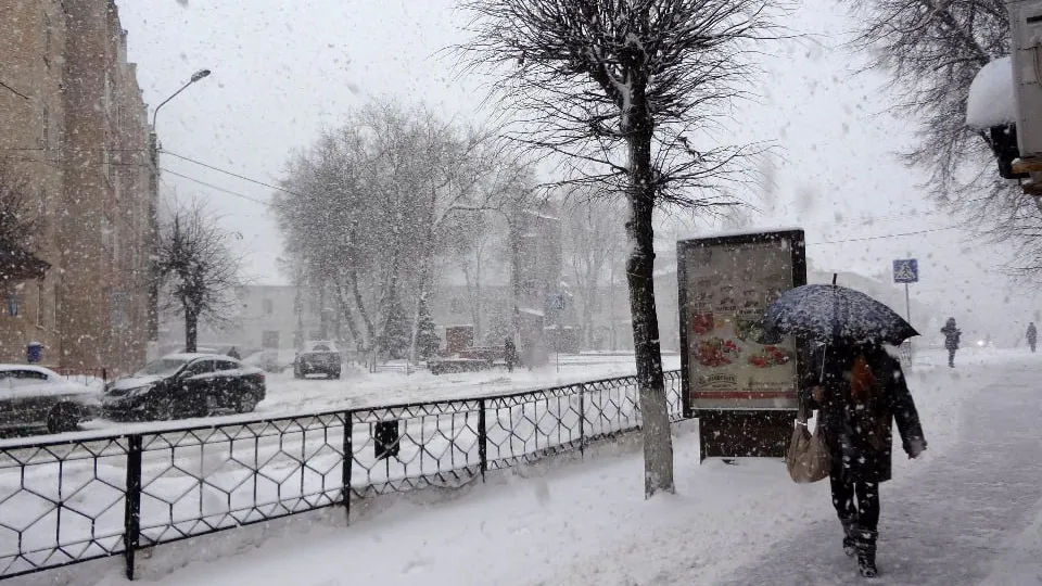 Фото: медиасток.рф