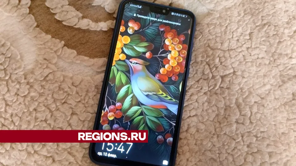 Фото: REGIONS/Александра Никитина