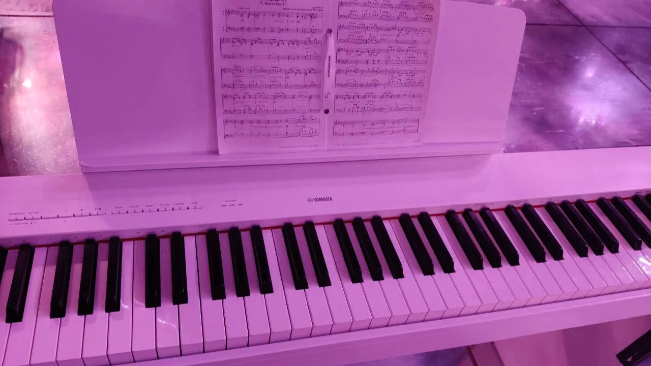 REGIONS/Елена Шахиджанова