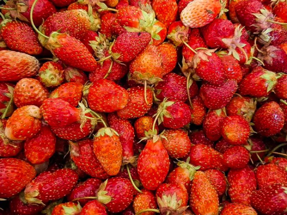 Фото: REGIONS/Юлия Габбасова