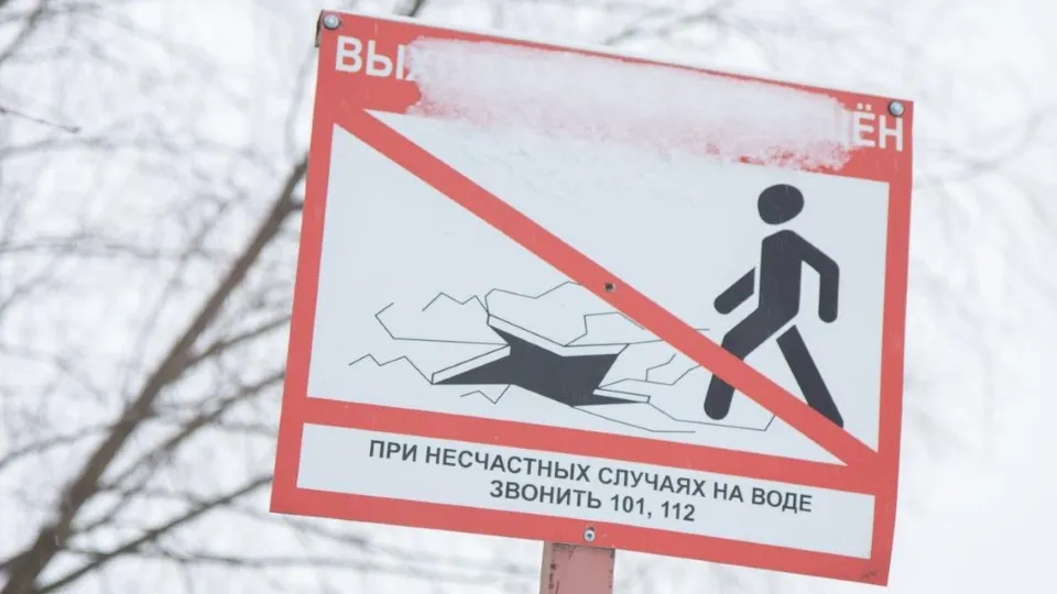 Фото: пресс-служба администрации г.о. Лыткарино