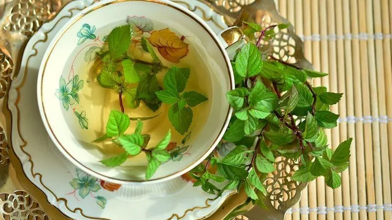 Конфеты из сыра и травяные чаи представят на «Крестьянском подворье» в Рузе