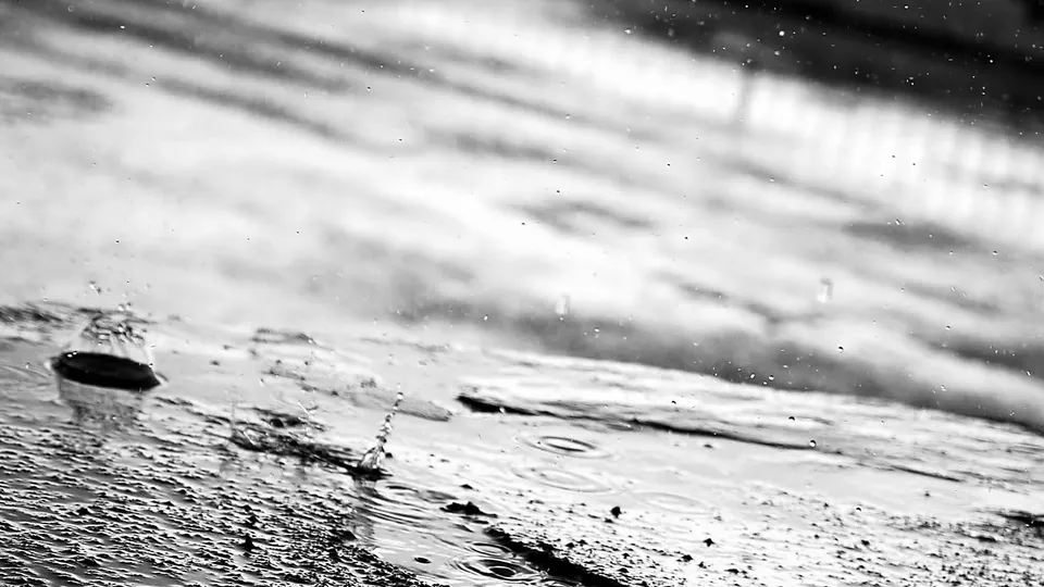 Фото: pxhere.com