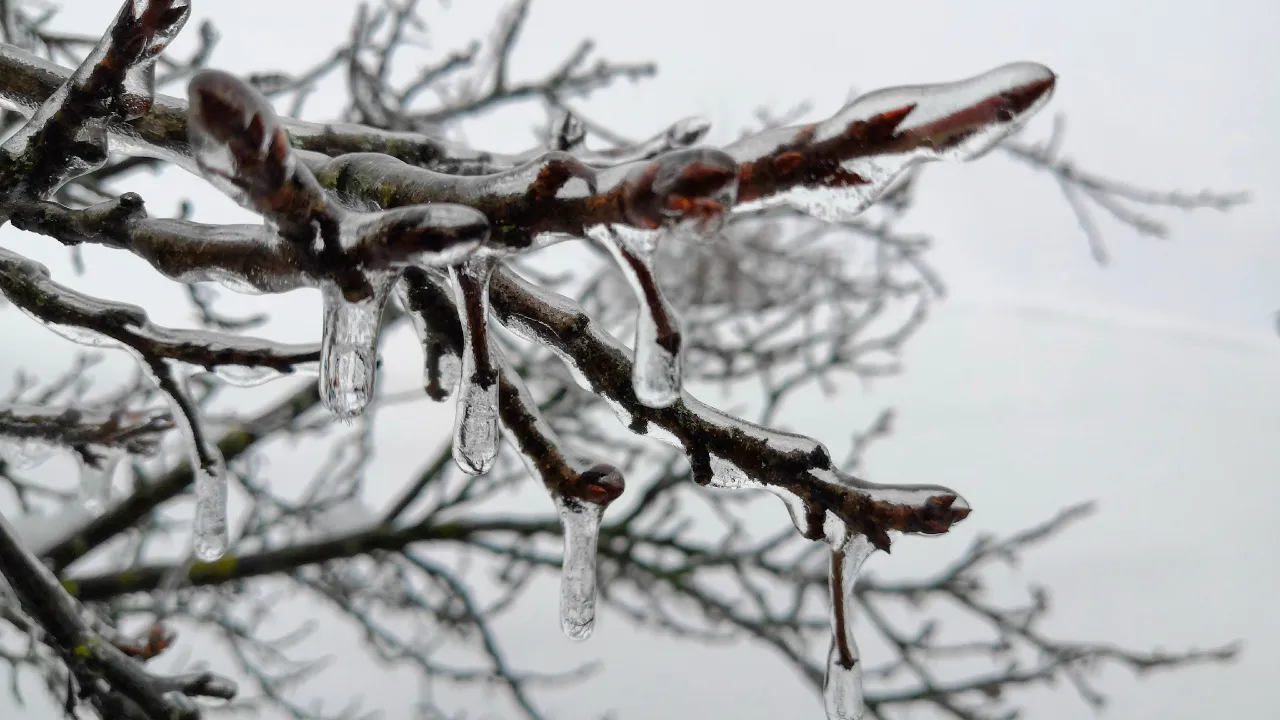 REGIONS/Евгений Мазепов