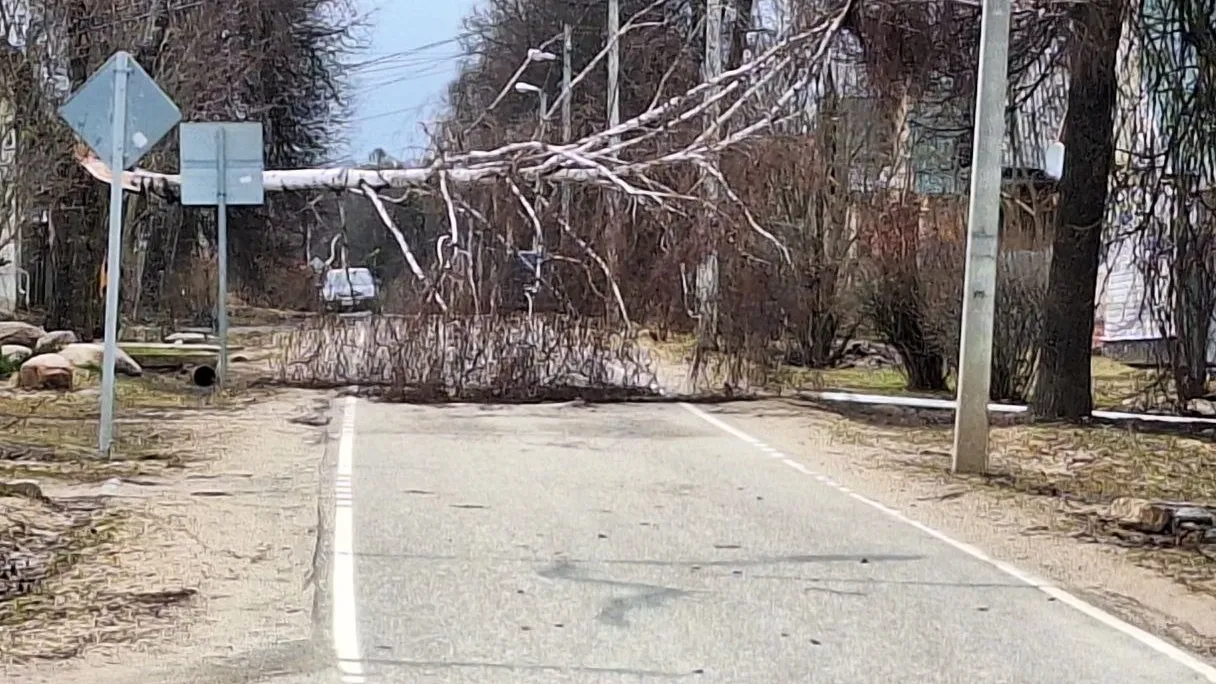 Фото: предоставлено очевидцем