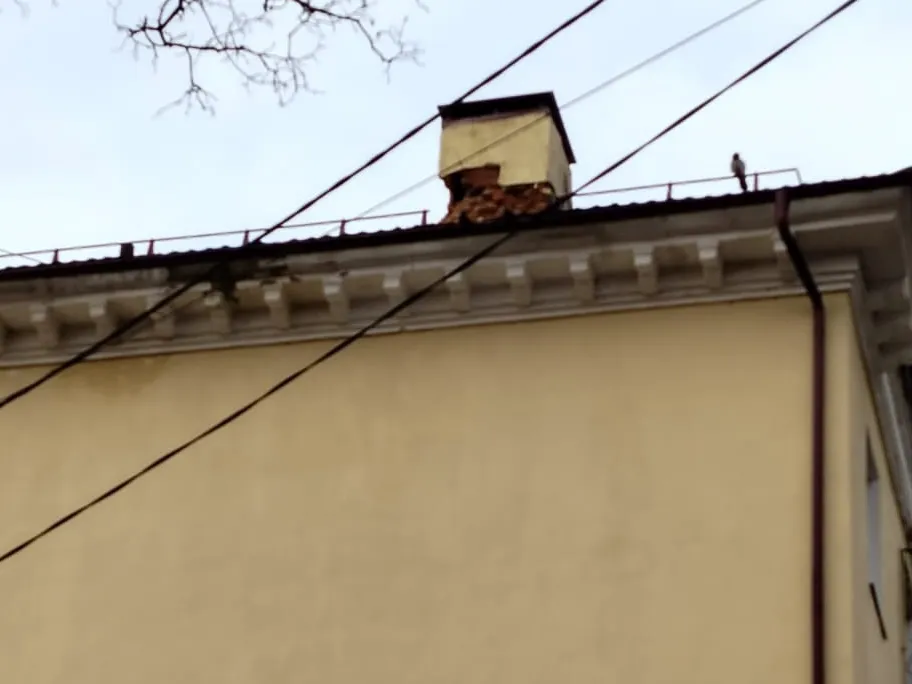 Фото: администрация Наро-Фоминского округа&nbsp; &nbsp; &nbsp;