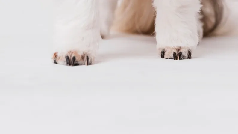 Фото: freepik.com