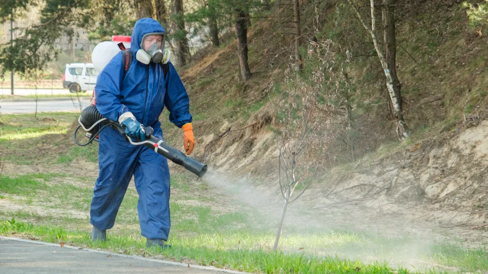 Фото: Медиабанк Подмосковья/Владимир Думчев