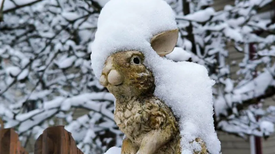 Фото: REGIONS/Роман Малышенко